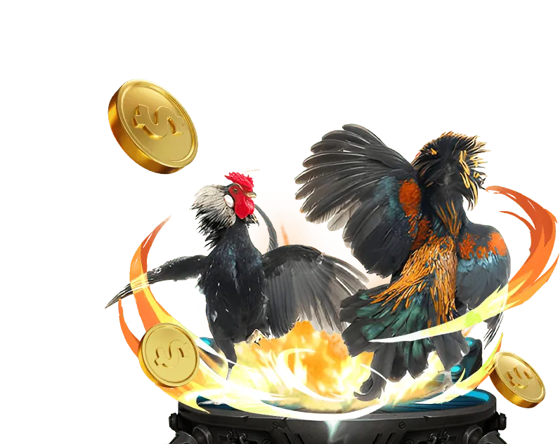 Chương trình hoàn trả C54